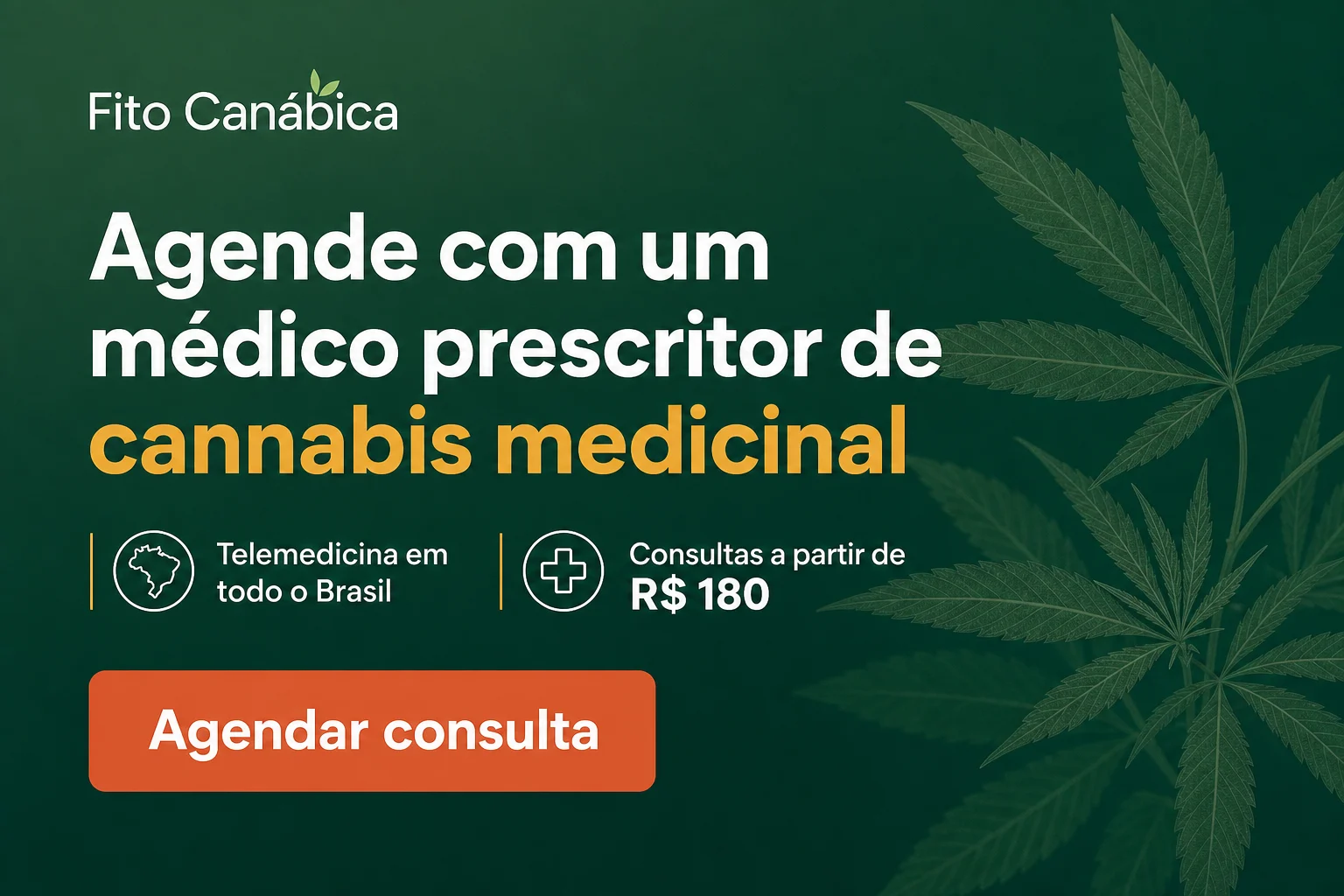 Fito Canábica: agende consulta com médico prescritor de cannabis medicinal pelo WhatsApp
